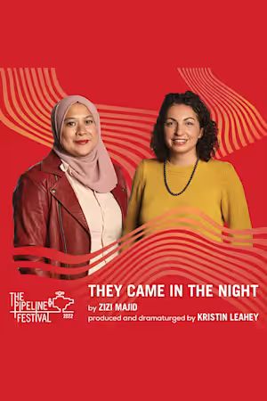 They Came in the Night poster