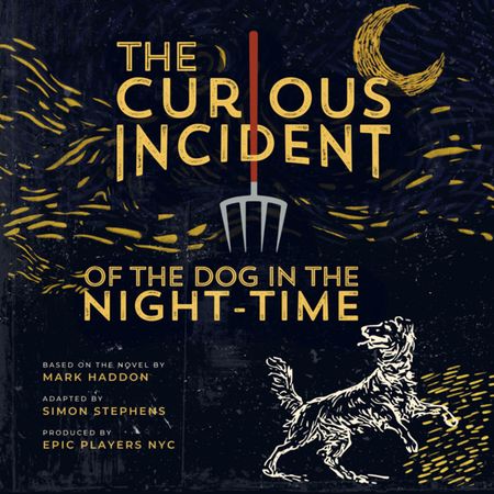 The Curious Incident of the Dog in the Night-Time poster