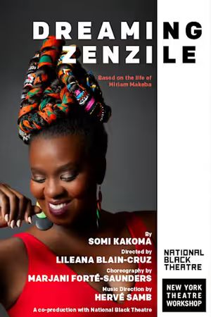 Dreaming Zenzile poster