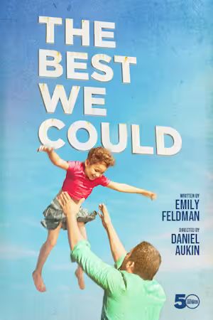 The Best We Could (a family tragedy) poster