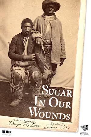 Sugar in our Wounds poster
