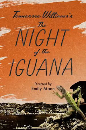 The Night of the Iguana poster