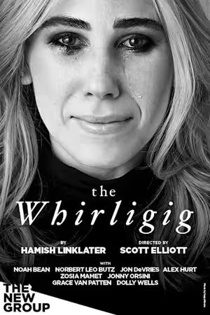 The Whirligig poster