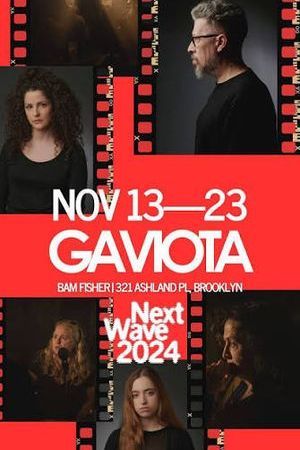 Gaviota poster