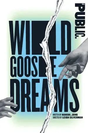Wild Goose Dreams poster