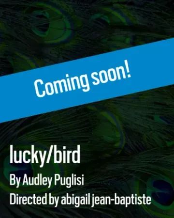 lucky/bird poster