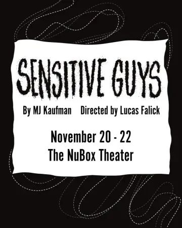 Sensitive Guys poster