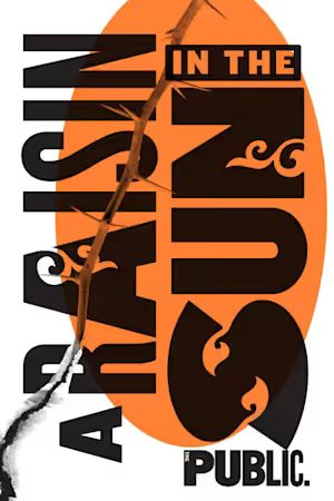 A Raisin in the Sun poster