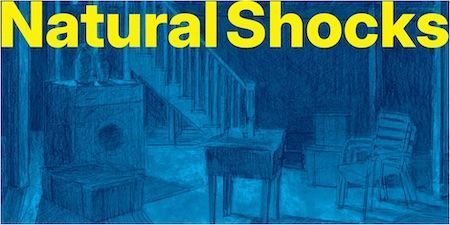 Natural Shocks poster