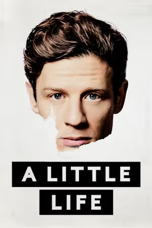 A Little Life poster