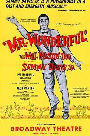 Mr. Wonderful poster