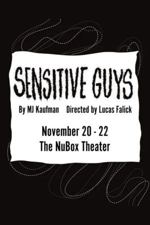 Sensitive Guys poster
