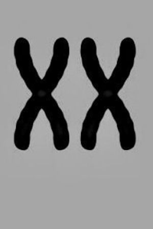 M[xx]: The Dignity Project poster