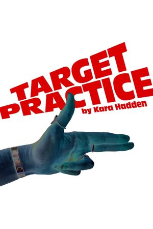 Target Practice poster