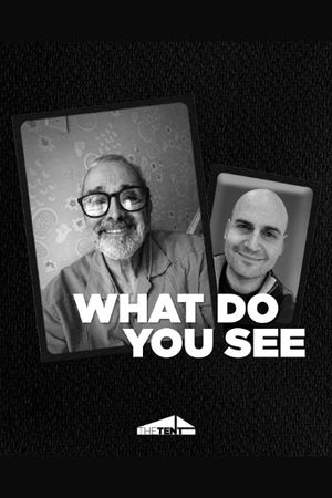What Do You See poster