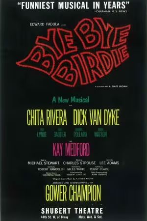 Bye Bye Birdie poster