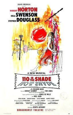 110 in the Shade poster