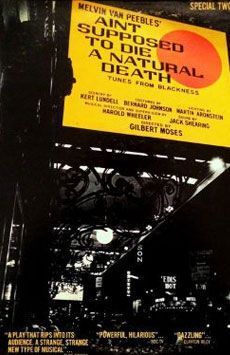 Ain't Supposed to Die a Natural Death poster