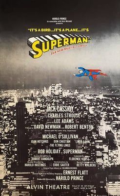 It's a Bird...It's a Plane...It's Superman