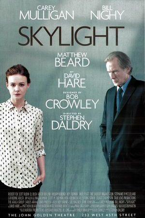 Skylight poster