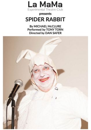 Spider Rabbit poster