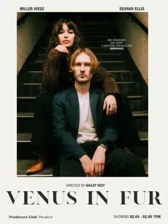 Venus in Fur poster