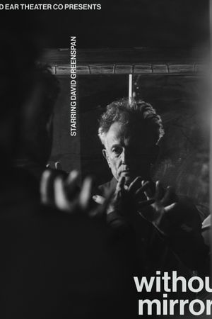 without mirrors poster