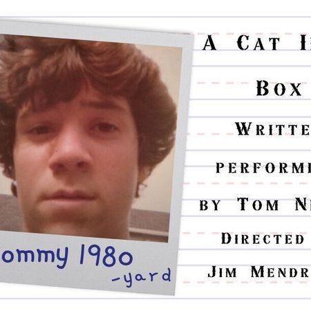 A Cat in a Box poster