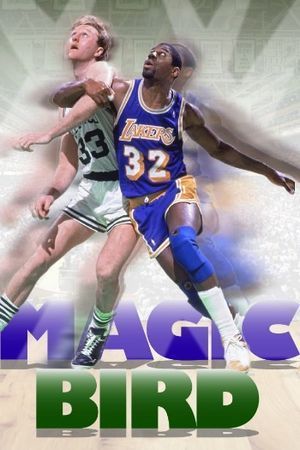 Magic/Bird poster