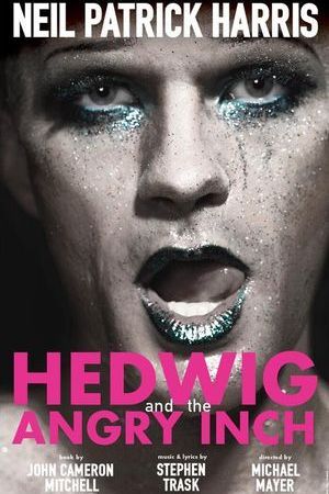 Hedwig and the Angry Inch poster