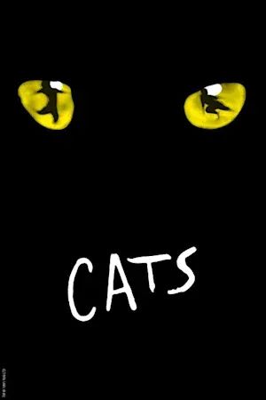 Cats poster