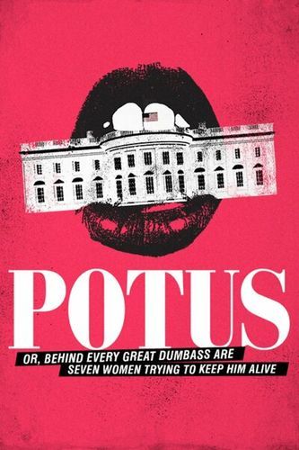 POTUS: Or, Behind Every Great Dumbass are Seven Women Trying to Keep Him Alive poster