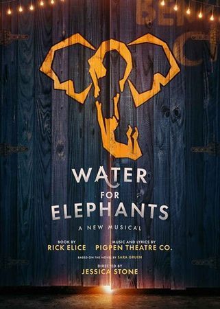 Water for Elephants poster