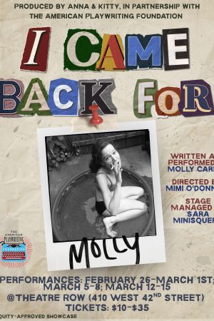 I Came Back for Molly poster