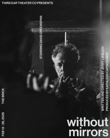 without mirrors poster