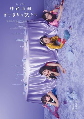 神経衰弱ぎりぎりの女たち poster