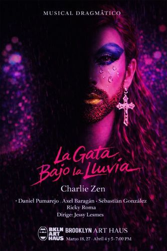 La Gata Bajo la Lluvia poster