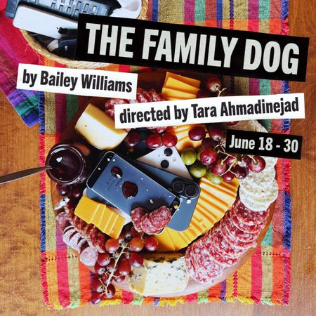 The Family Dog poster