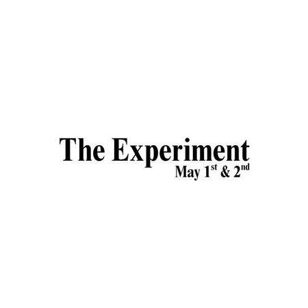 The Experiment poster