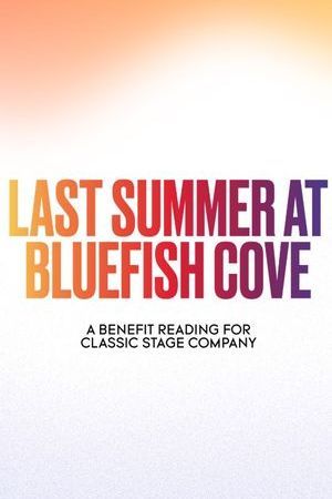 Last Summer at Bluefish Cove poster