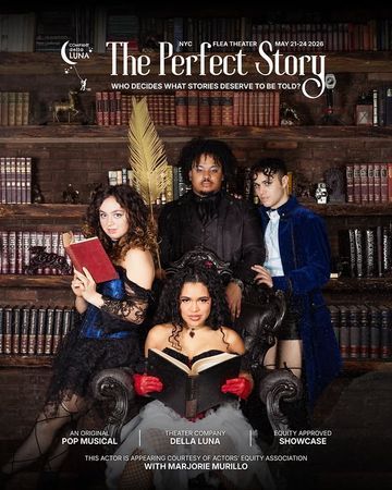 The Perfect Story poster