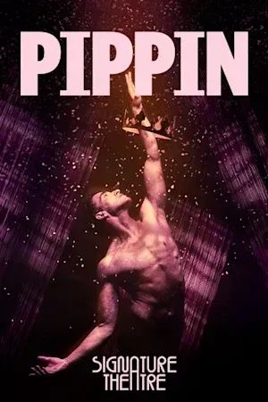Pippin poster