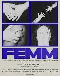 FEMM
