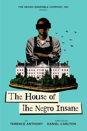 The House of the Negro Insane poster