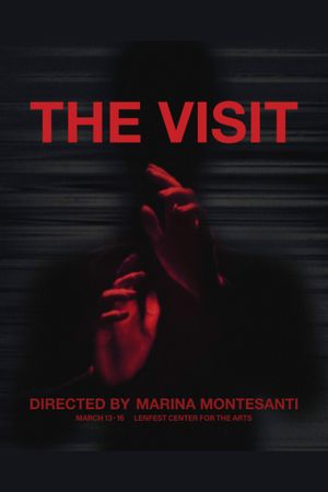 The Visit poster