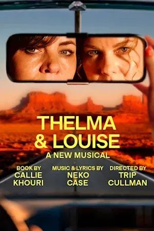 Thelma & Louise poster