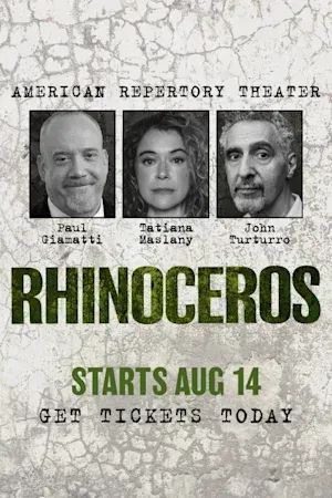 Rhinoceros poster