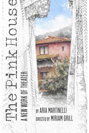 The Pink House poster