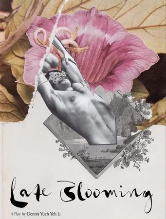 Late Blooming poster