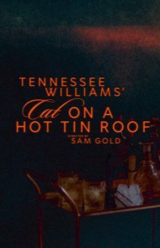 Cat on a Hot Tin Roof